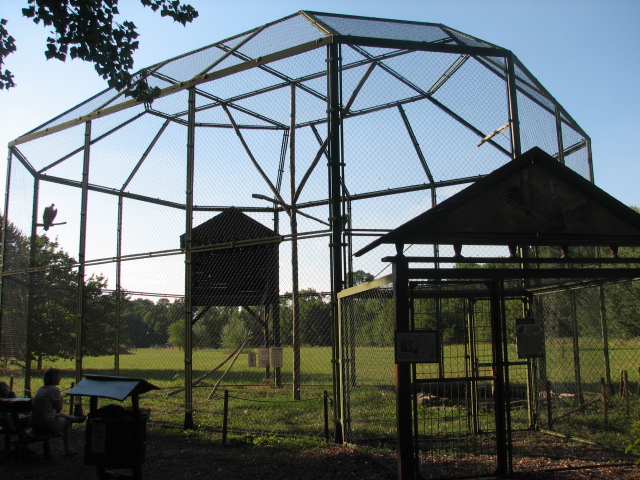 Körösvölgyi Állatpark, Szarvas, Griffon vulture aviary