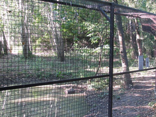 Körösvölgyi Állatpark, Szarvas, Wolf exhibit