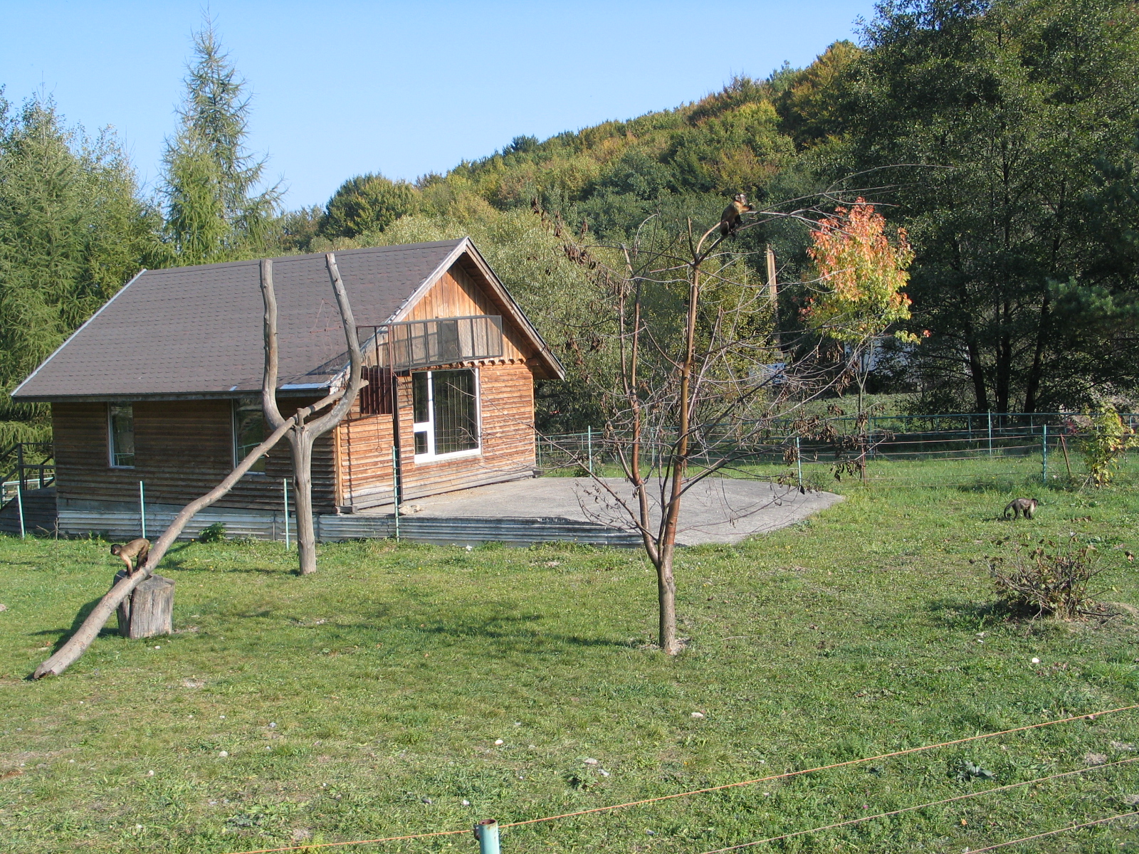 Kosice Zoo / October 2006