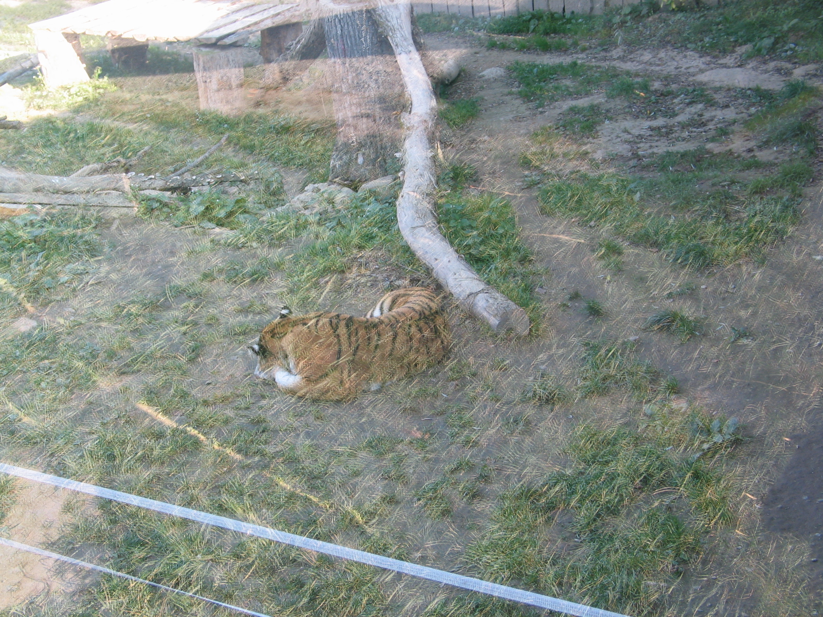 Kosice Zoo - October 2006.