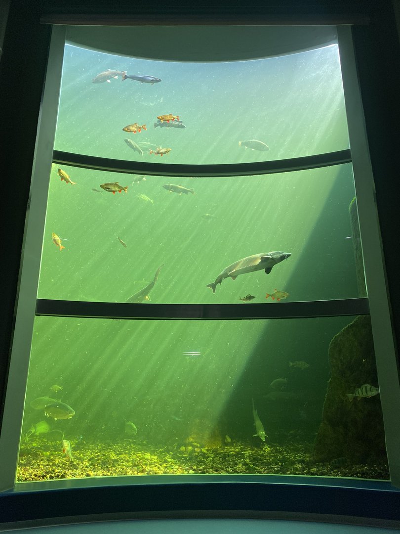 Kotka Maretarium / Baltic sea aquarium