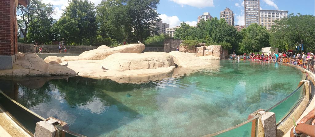Kovler Sea Lion Pool