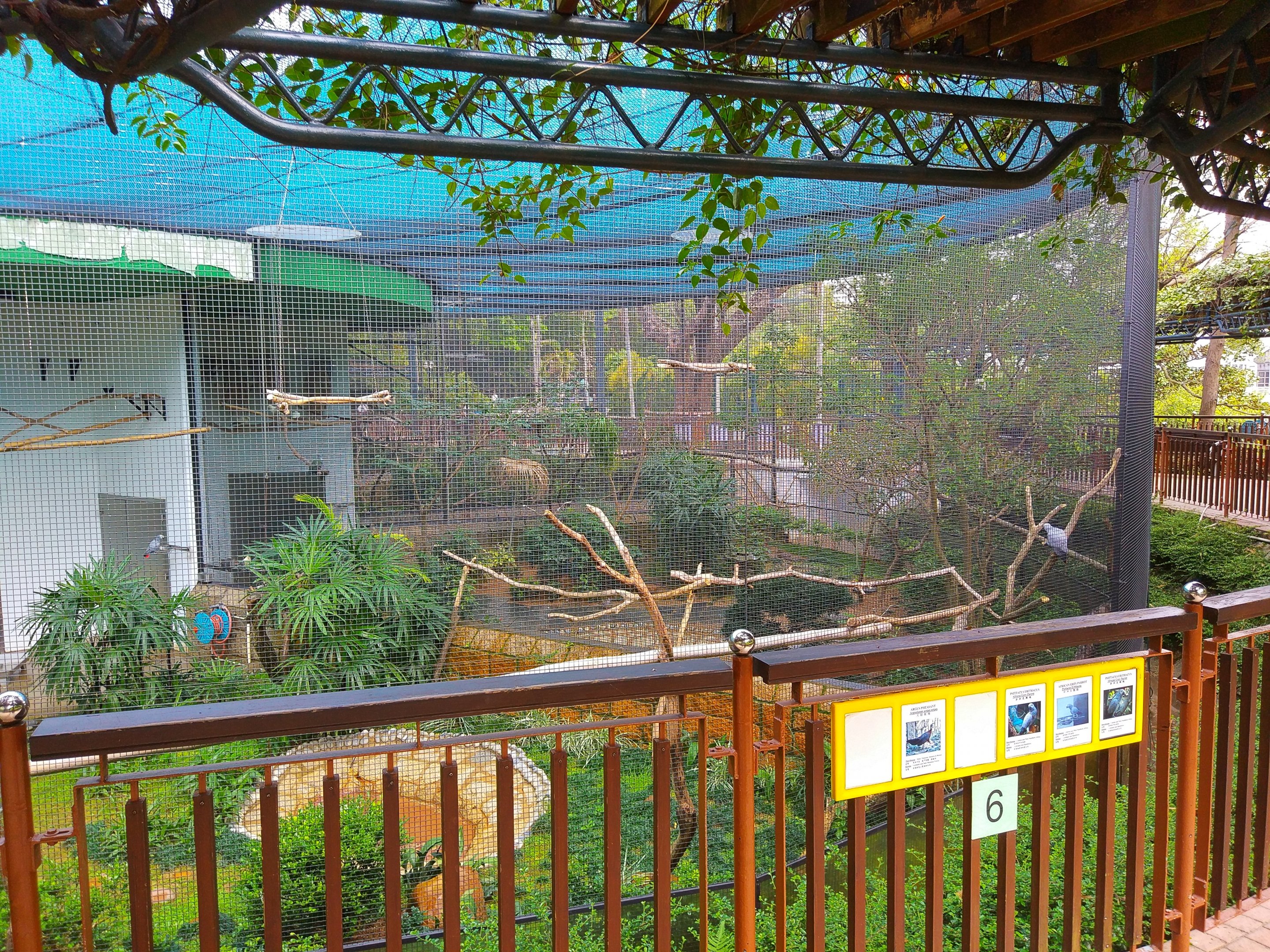 Kowloon Park Aviary
