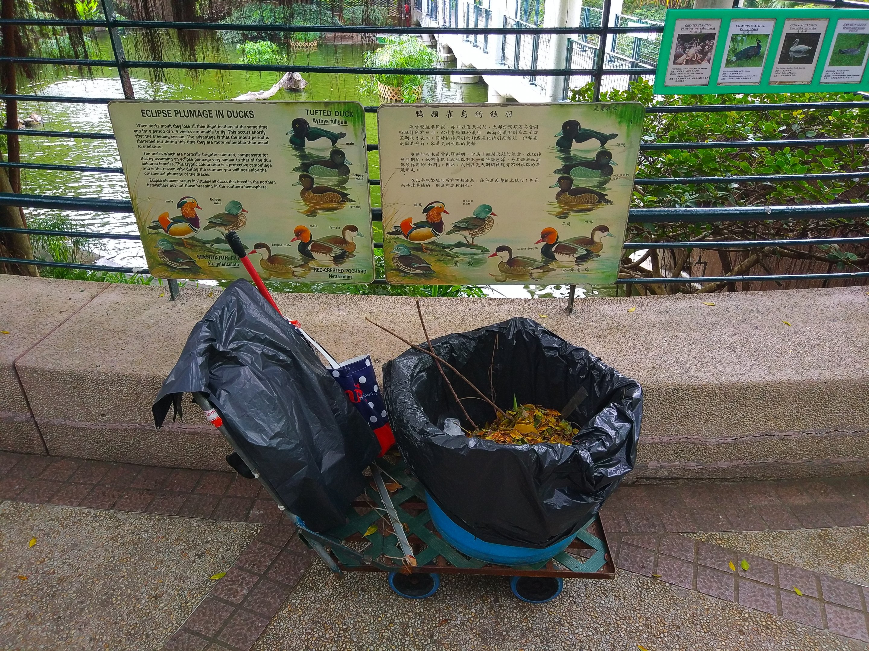 Kowloon Park - Waterfowl signage