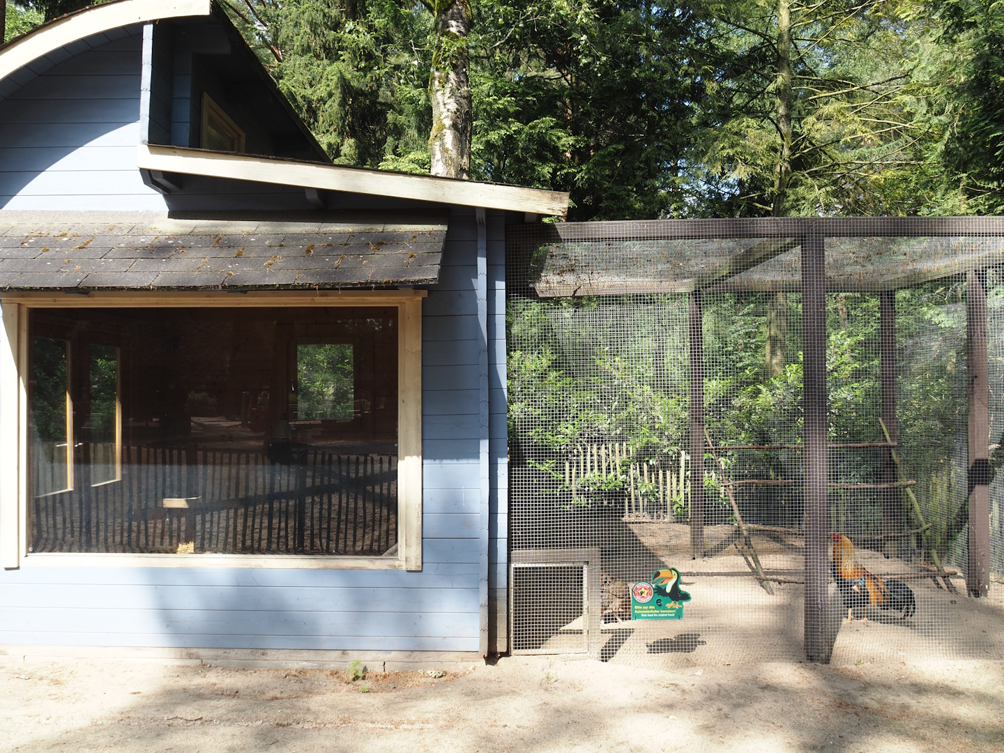 Kraienkopp/Twents Hoen chicken aviary, 2024-05-23