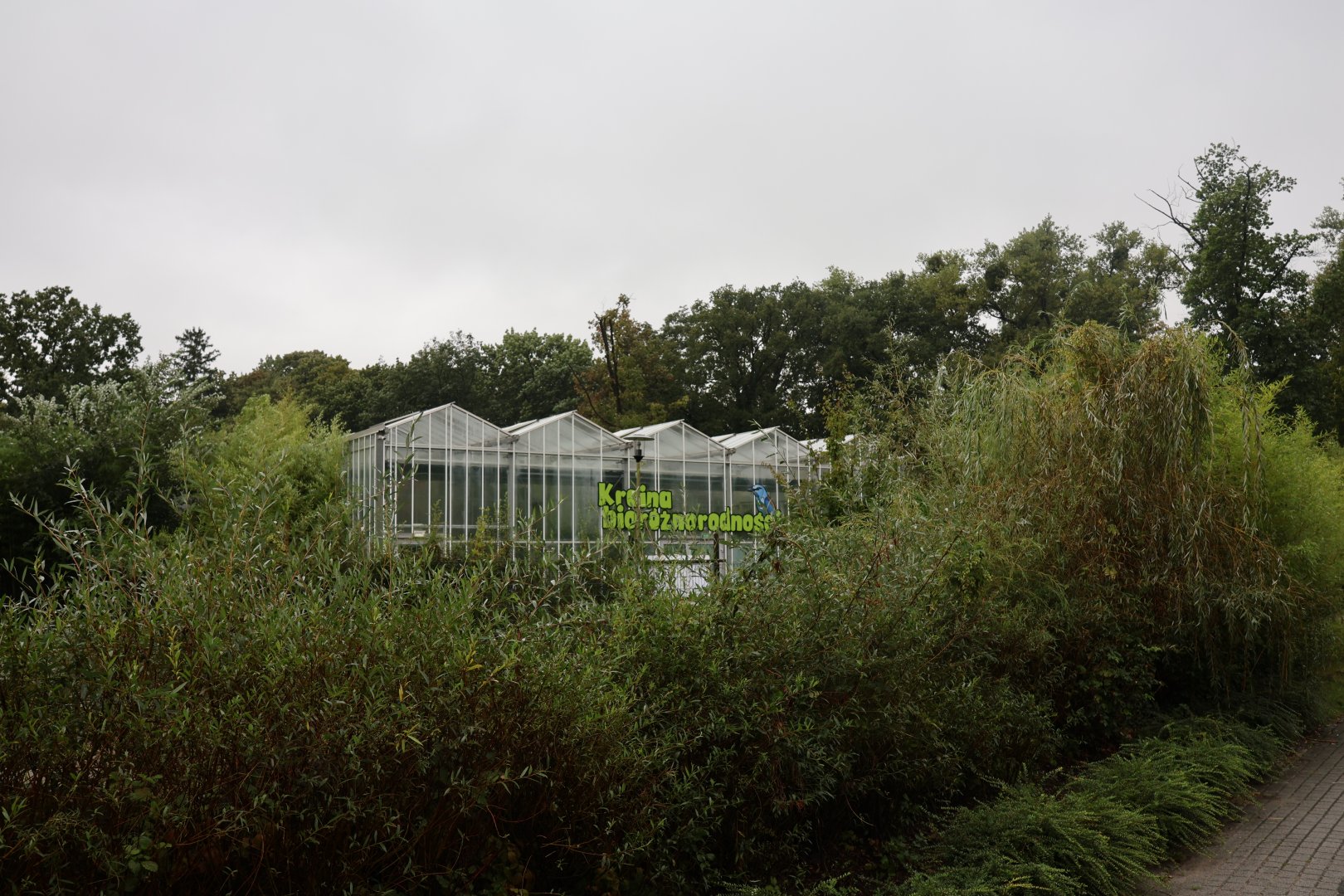 Krainę Bioróżnorodności (Tropical rainforest)