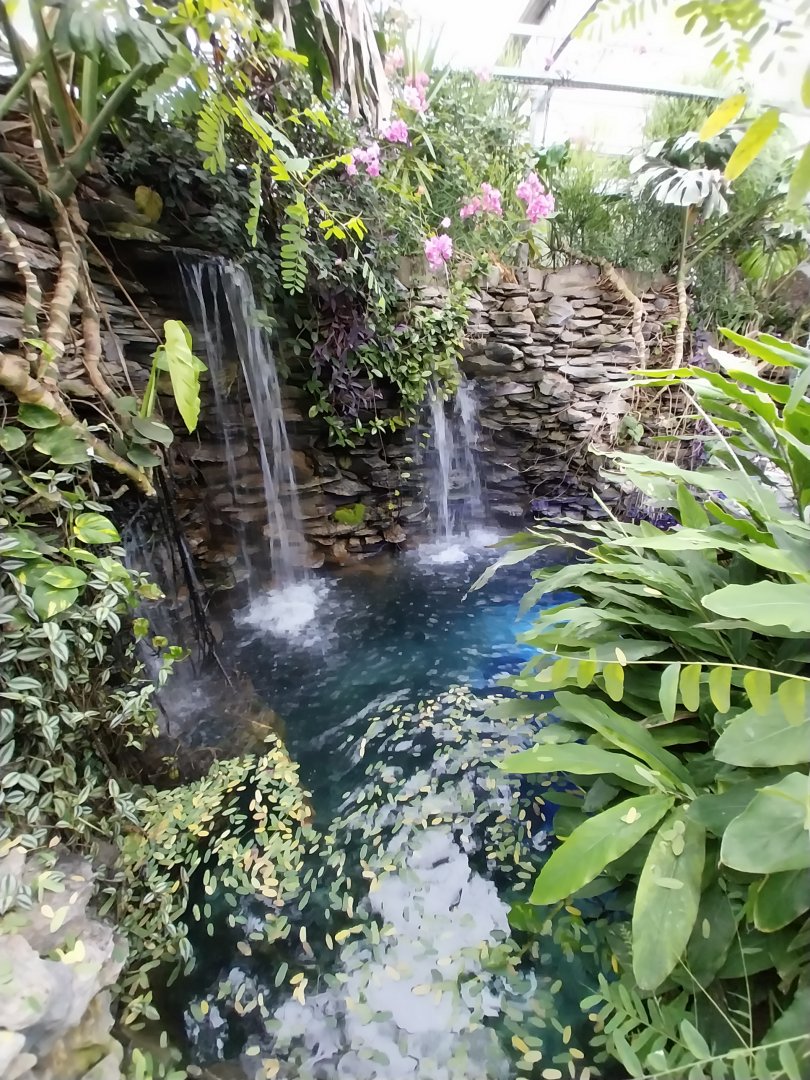 Krainę Bioróżnorodności (Tropical rainforest)