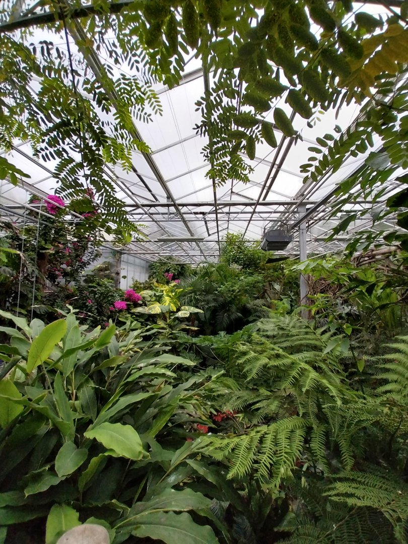 Krainę Bioróżnorodności (Tropical rainforest)