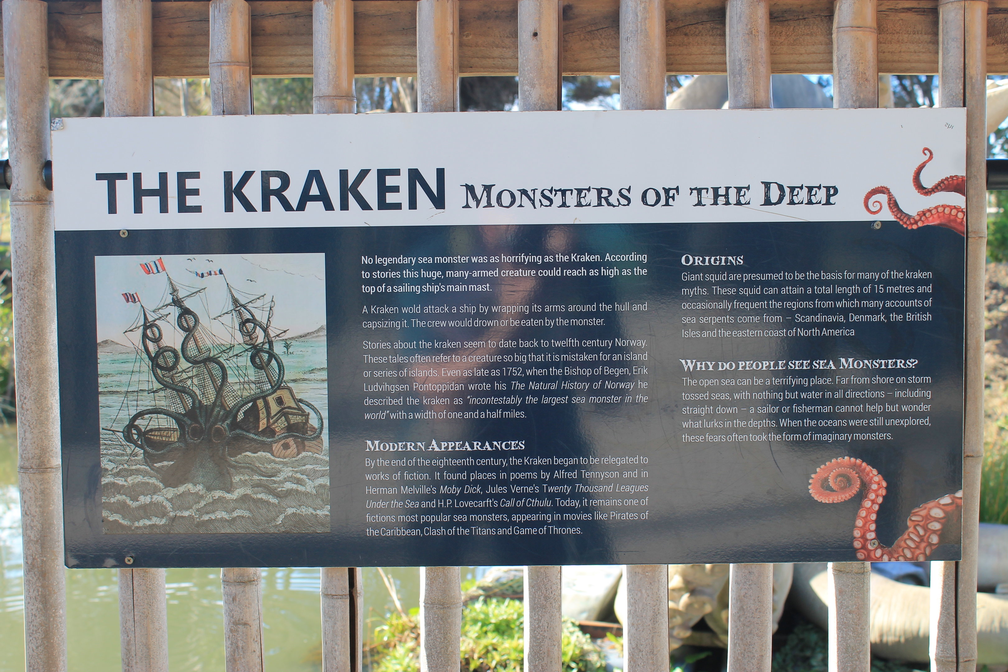 Kraken signage