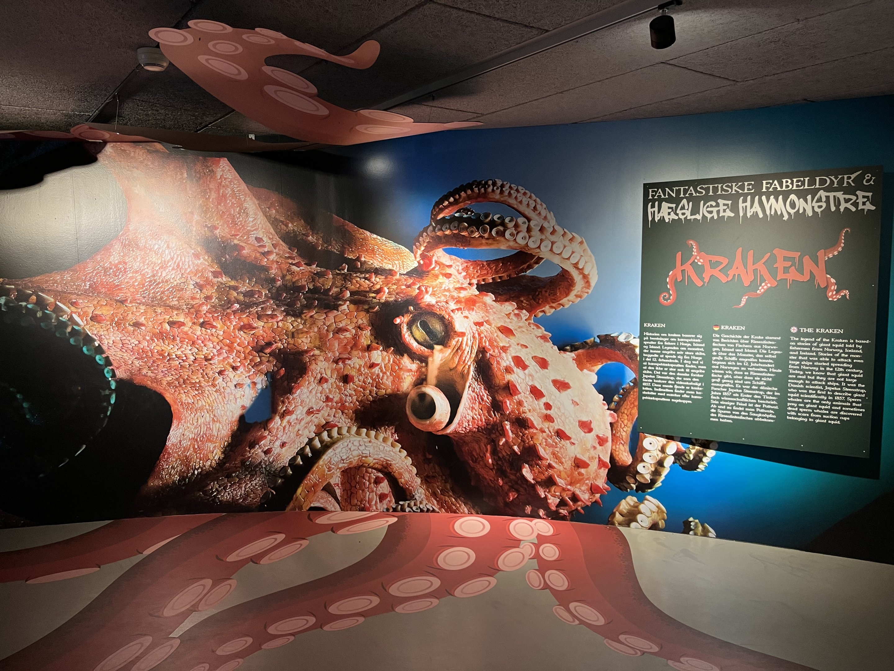 Kraken Signs (but no Kraken!)