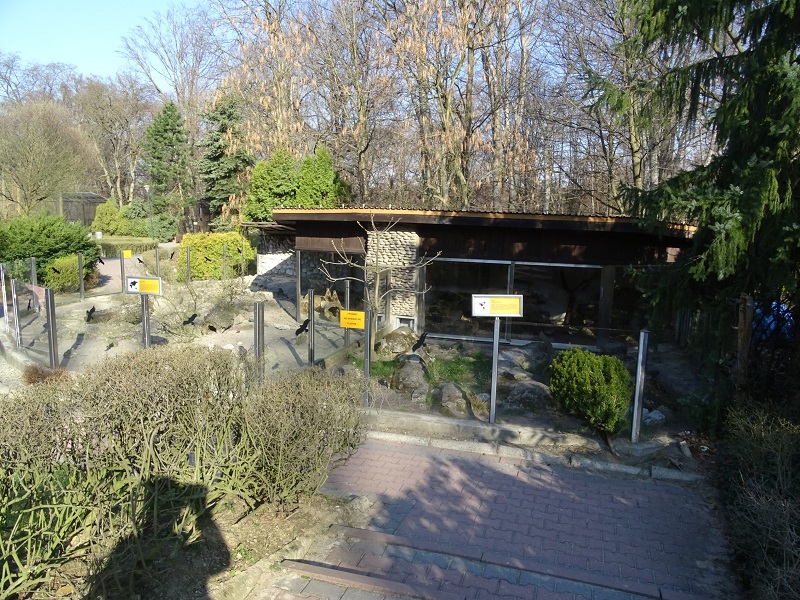 Krakow Zoo 04/2019: Agouti and meerkat enclosures