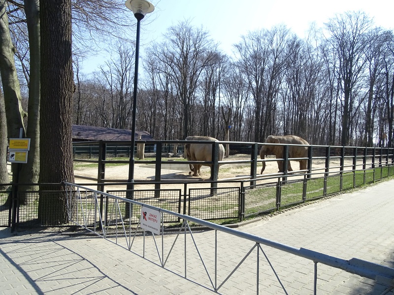 Krakow Zoo 04/2019: Asian elephant enclosure