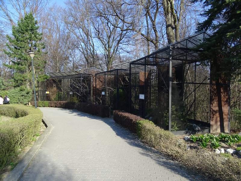Krakow Zoo 04/2019: Bird enclosures