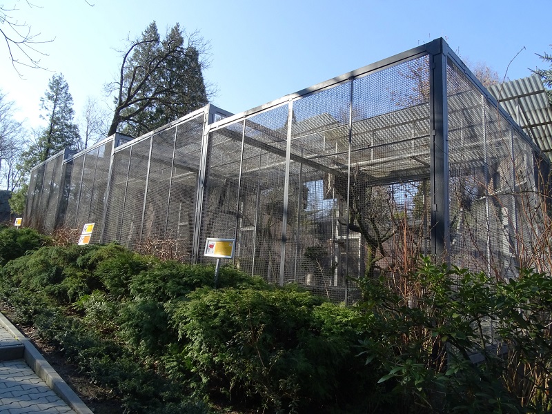 Krakow Zoo 04/2019: Bird of Prey aviaries