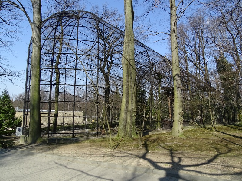 Krakow Zoo 04/2019: Condor enclosure