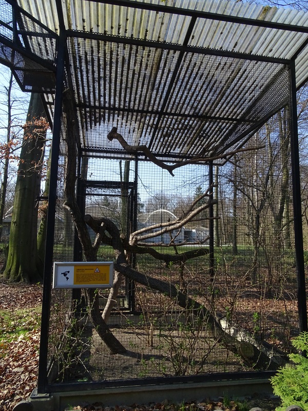 Krakow Zoo 04/2019: Cottontop tamarin enclosure