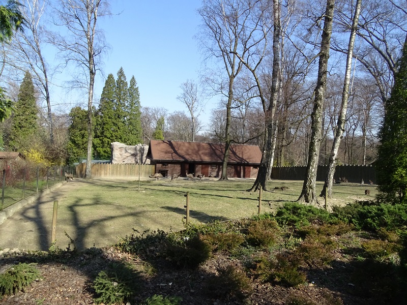 Krakow Zoo 04/2019: Emu and wallaby enclosure
