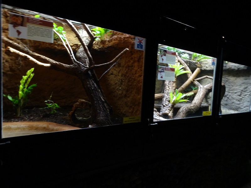 Krakow Zoo 04/2019: Exotarium enclosures