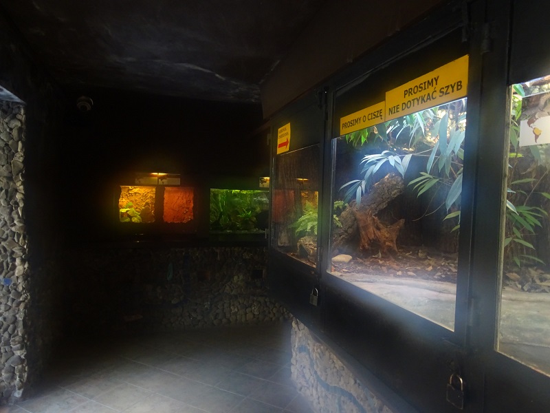 Krakow Zoo 04/2019: Exotarium