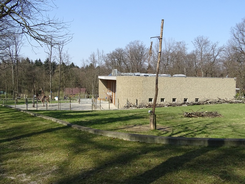 Krakow Zoo 04/2019: Giraffe enclosure