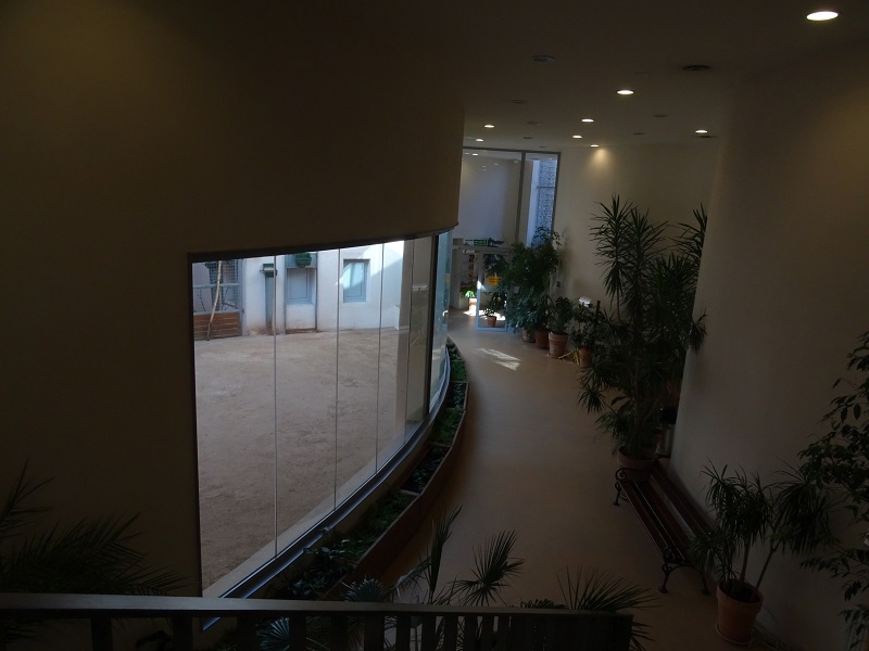 Krakow Zoo 04/2019: Giraffe house