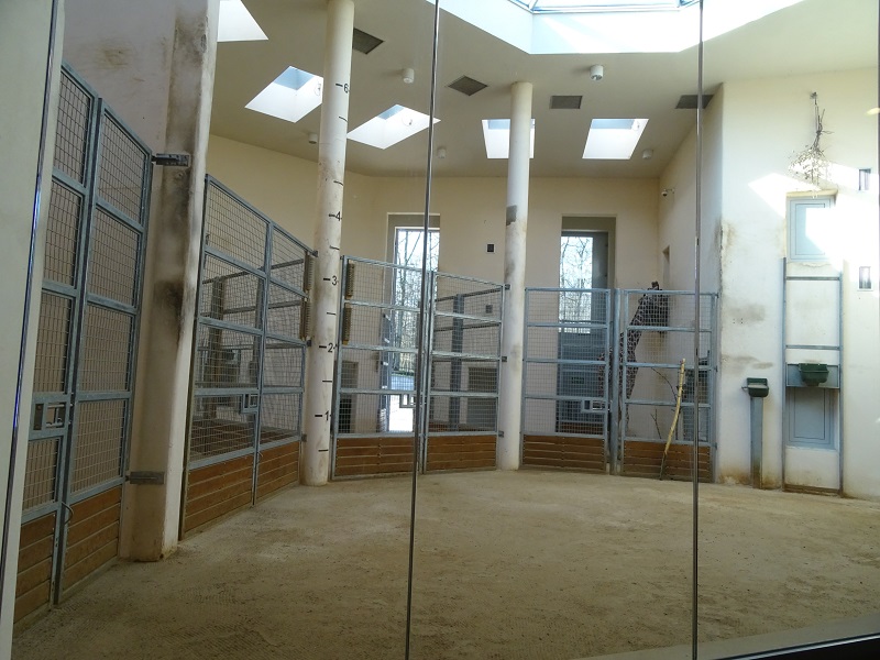 Krakow Zoo 04/2019: Giraffe house