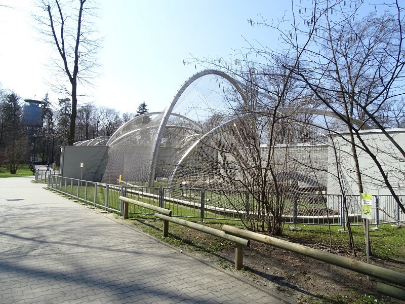 Krakow Zoo 04/2019: jaguar enclosure