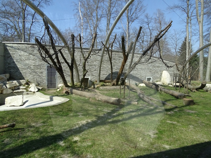 Krakow Zoo 04/2019: Jaguar enclosure