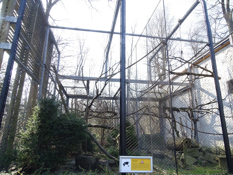 Krakow Zoo 04/2019: Lemur enclosures