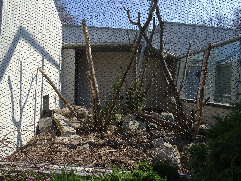Krakow Zoo 04/2019: Mandrill enclosure (Monkey House)