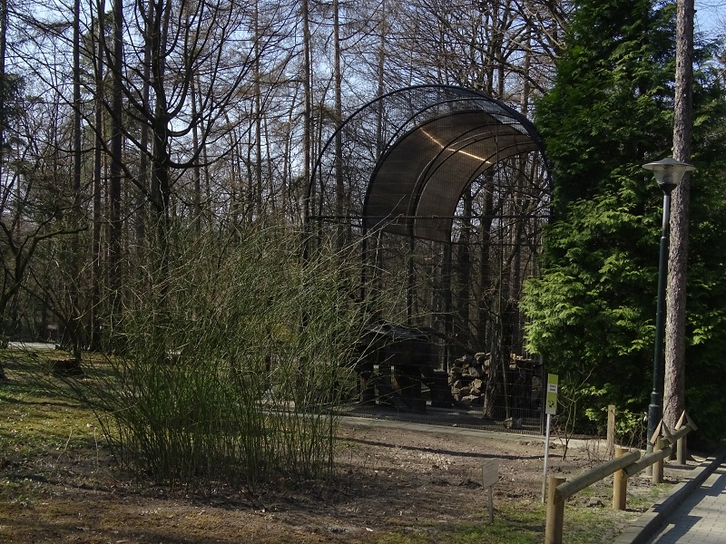 Krakow Zoo 04/2019: manul enclosure