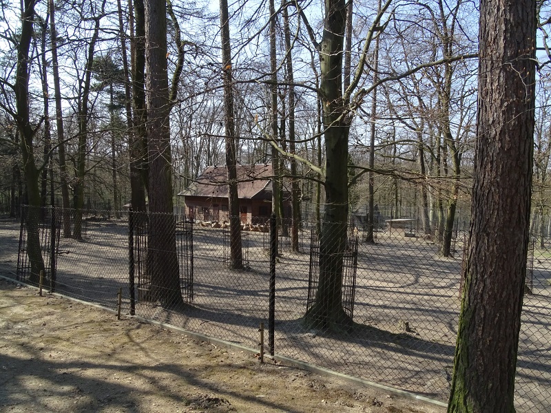 Krakow Zoo 04/2019: Nilgai enclosure