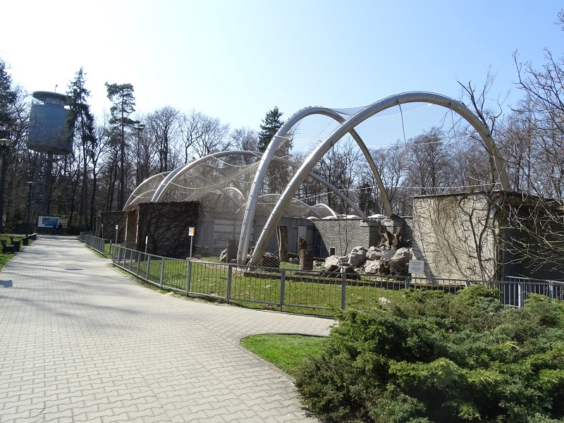 Krakow Zoo 04/2019: North Chinese leopard enclosure