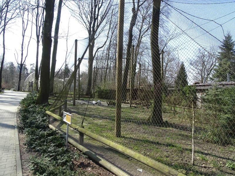 Krakow Zoo 04/2019: Red-crowned crane enclosure
