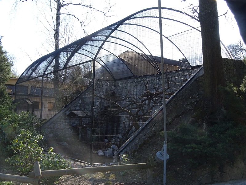 Krakow Zoo 04/2019: Red panda enclosure