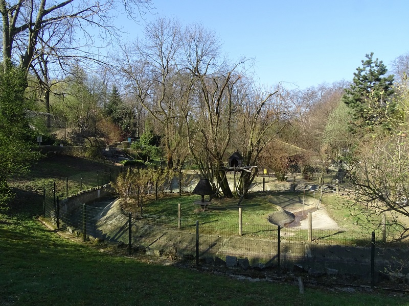 Krakow Zoo 04/2019: Ring-tailed lemur island (empty)