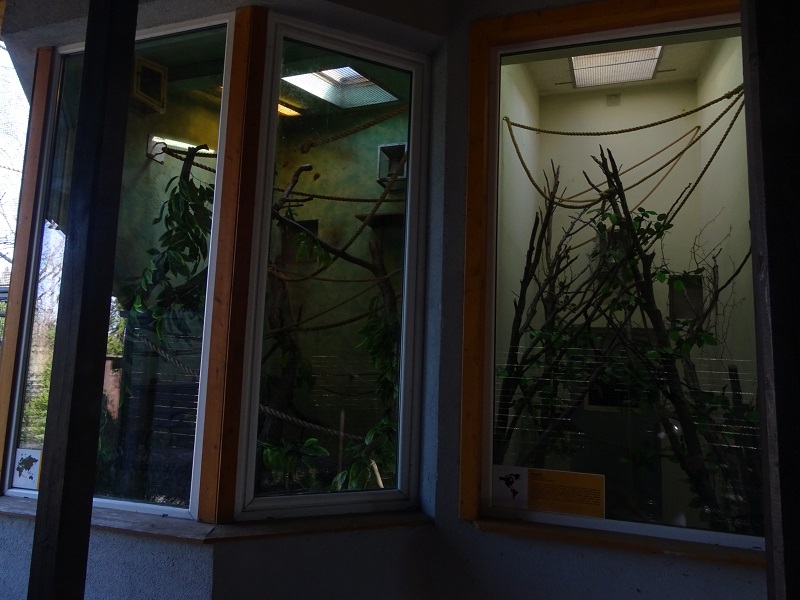 Krakow Zoo 04/2019: Squirrel monkey and lemur indoor enclosure