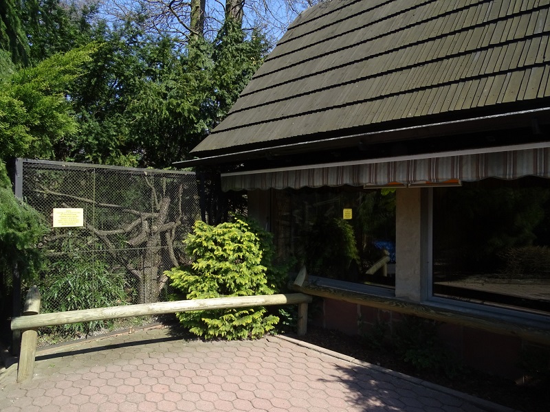 Krakow Zoo 04/2019: Tamarin enclosure