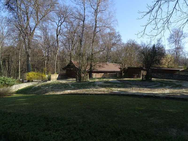 Krakow Zoo 04/2019: Tapir outdoor enclosure