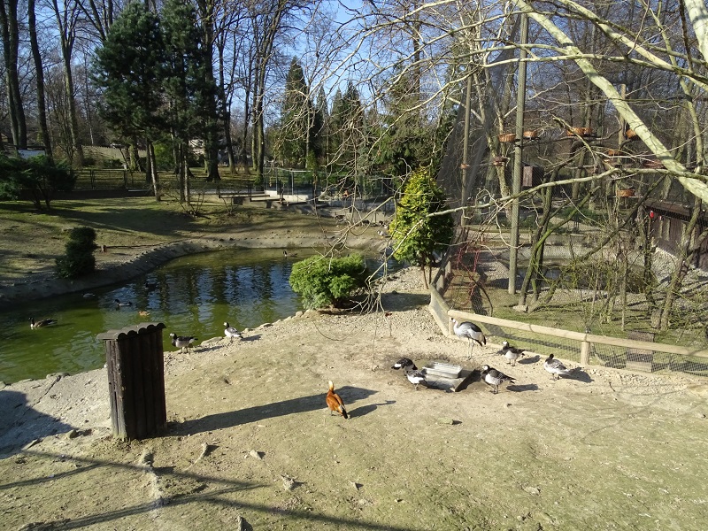 Krakow Zoo 04/2019:  Waterbird enclosure