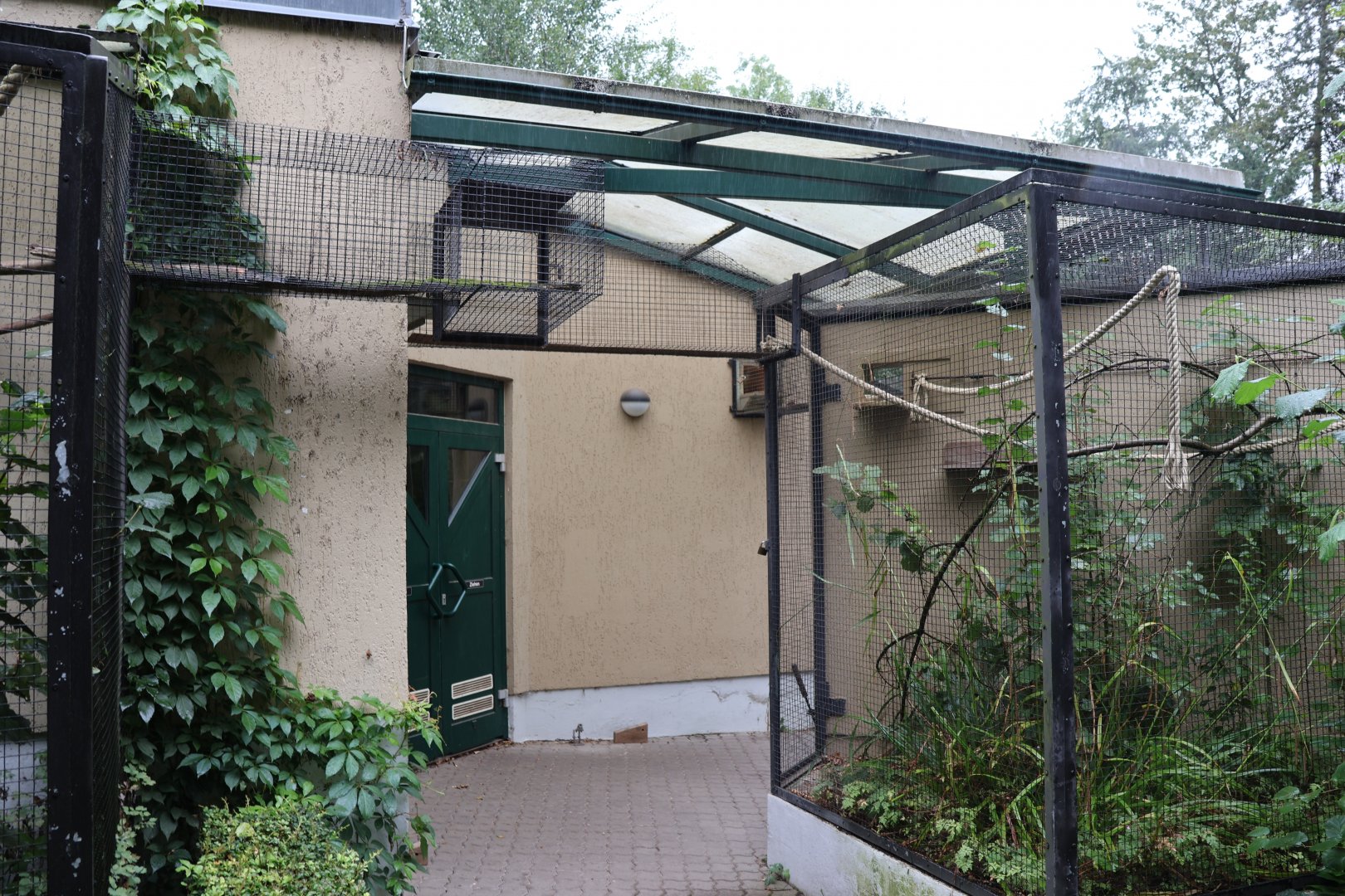 Krallenaffenhaus (Callitrichidea)