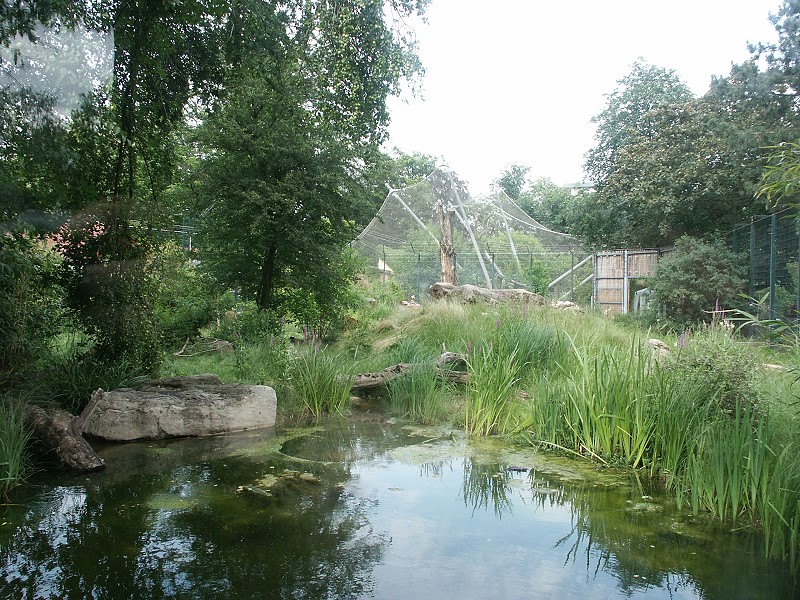 Krefeld Big Cats Exhibit