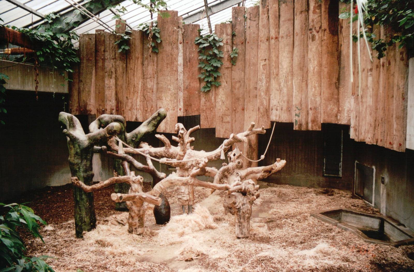 Krefeld Zoo 2002 - Indoor Ape exhibit