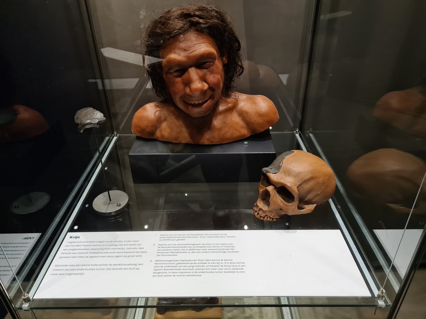 Krijn, the North sea Neanderthal