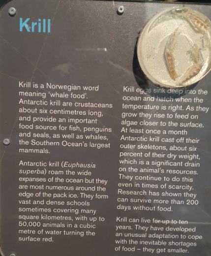 Krill Signage - Tasmanian Museum and Art Gallery