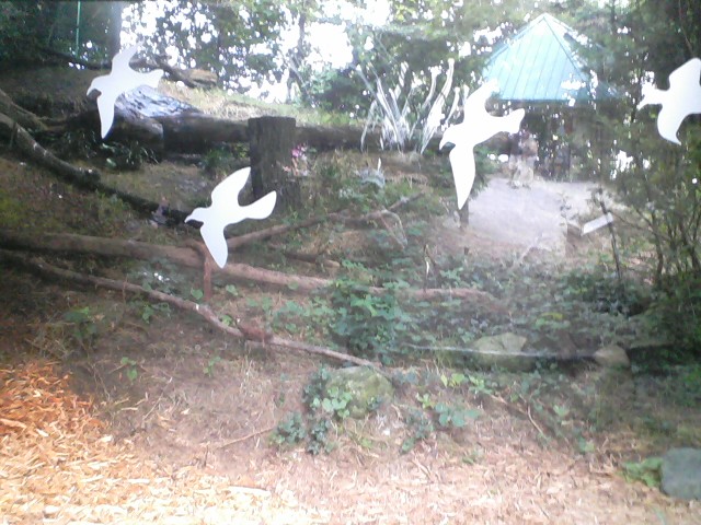 Kroger Lords of the Arctic- Steller's Sea Eagle exhibit