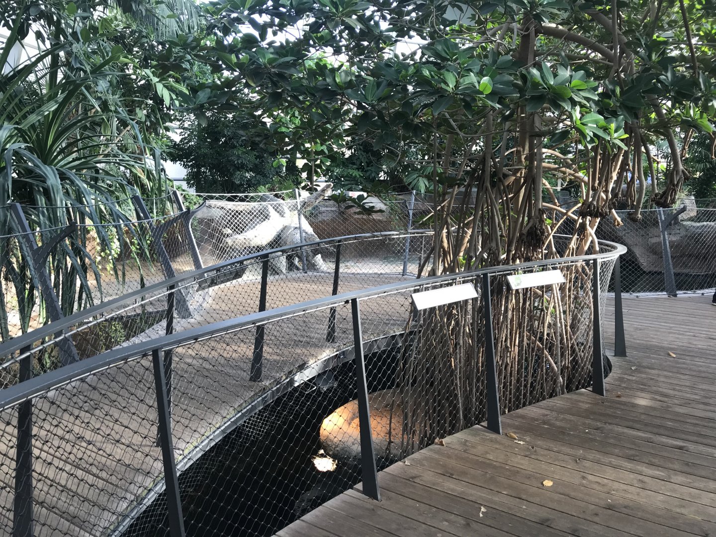 Krokodilhalle - central turtle exhibit 011218