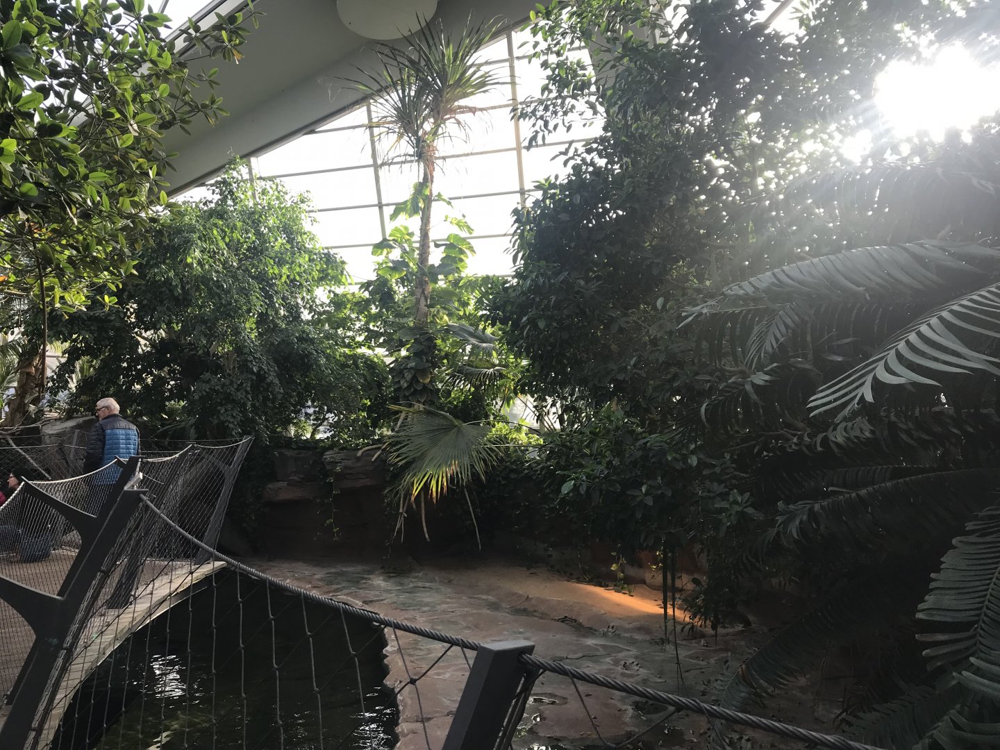 Krokodilhalle - Freshwater crocodile exhibit 011218