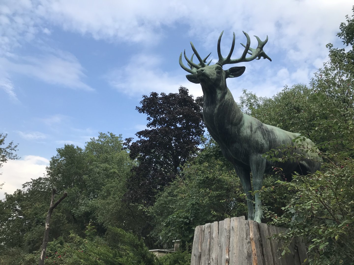 “Kronenhirsch” by Johannes Darsow