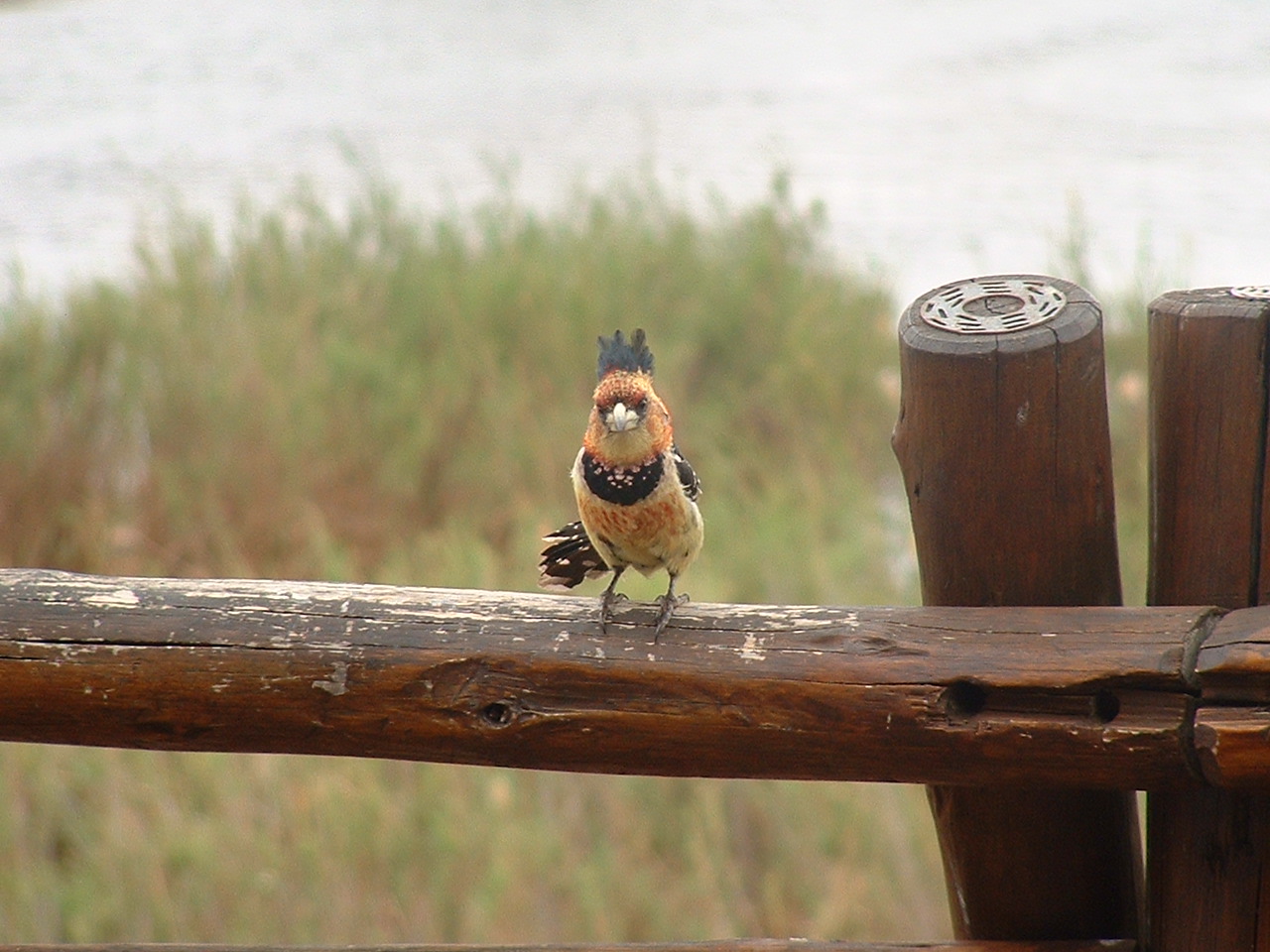 Kruger National Park - Oct 2011